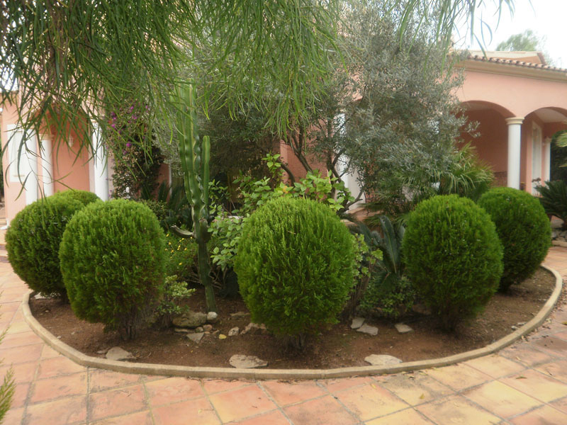 Formschnitt-Garten mit Buchskugeln vor einer Finca