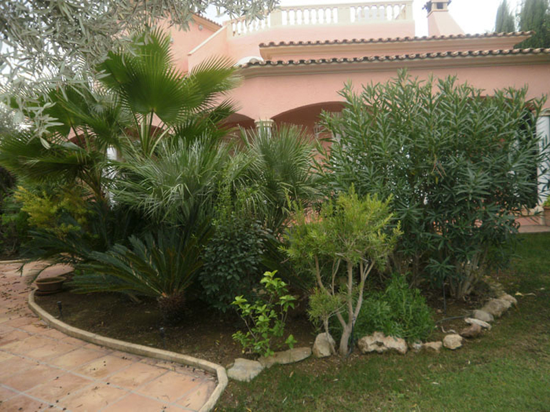 Mediterraner Garten mit Palmen vor einer Finca